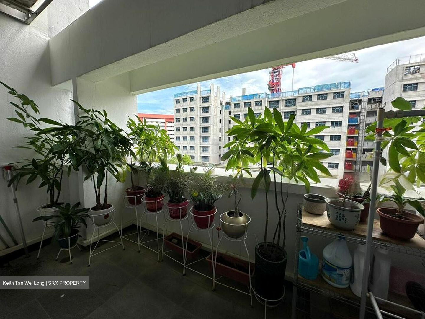 Blk 429 Tampines Street 41 (Tampines), HDB Executive #479475401